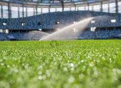 国足杭州集,训计划告吹,新帅空缺,开云体育KaiYun,Sports官网,KaiYun,Sports开云体育娱乐,开云体育投注,开云体育平台,开云体育赛事直播,开云体育app下载