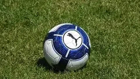 开云体育 资讯 171935 nin